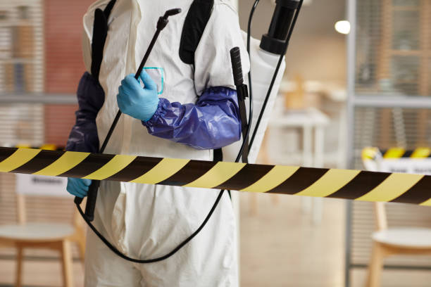 Professional Biohazard technician working in Homer, MI